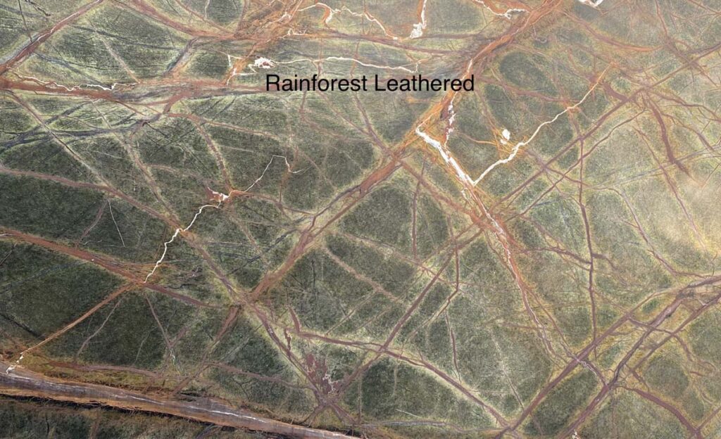 Rainforest Leathered